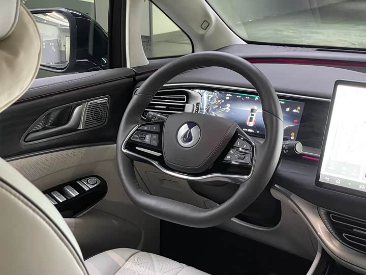 Фото 5 - Denza D9