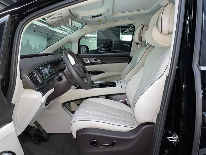 Фото 6 - Denza D9