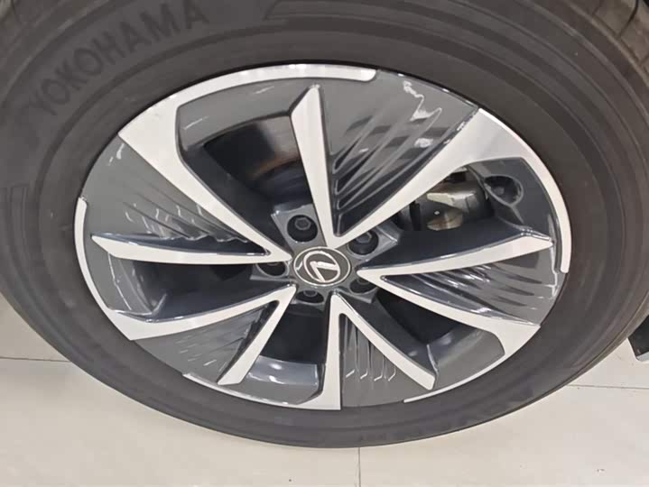 Фото 6 - Lexus RZ