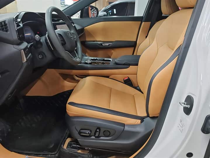 Фото 9 - Lexus RZ