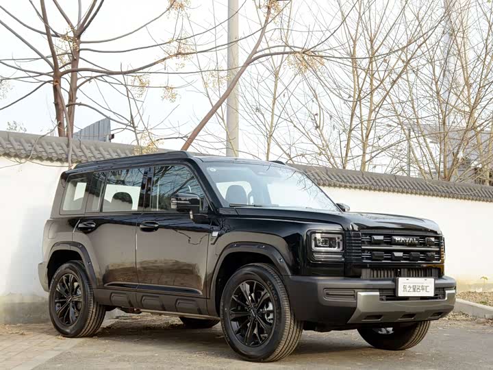 Фото 3 - Haval Raptor Hybrid