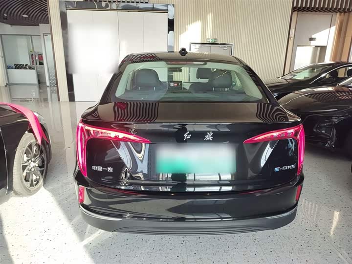 Фото 6 - Hongqi E-QM5