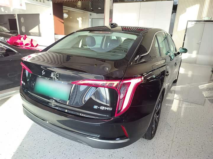 Фото 7 - Hongqi E-QM5