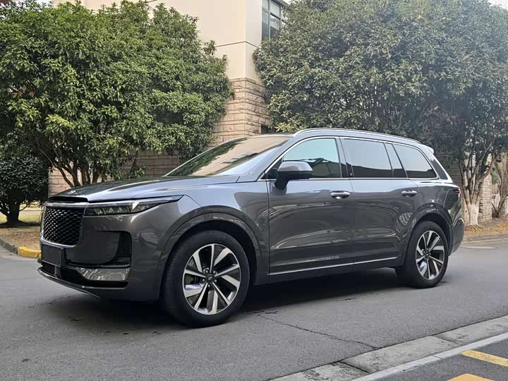 Фото 1 - LiXiang One