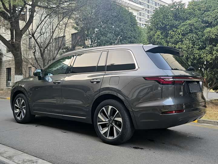 Фото 7 - LiXiang One