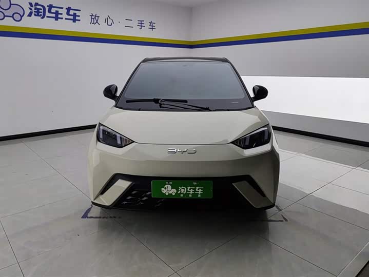 Фото 2 - BYD Seagull