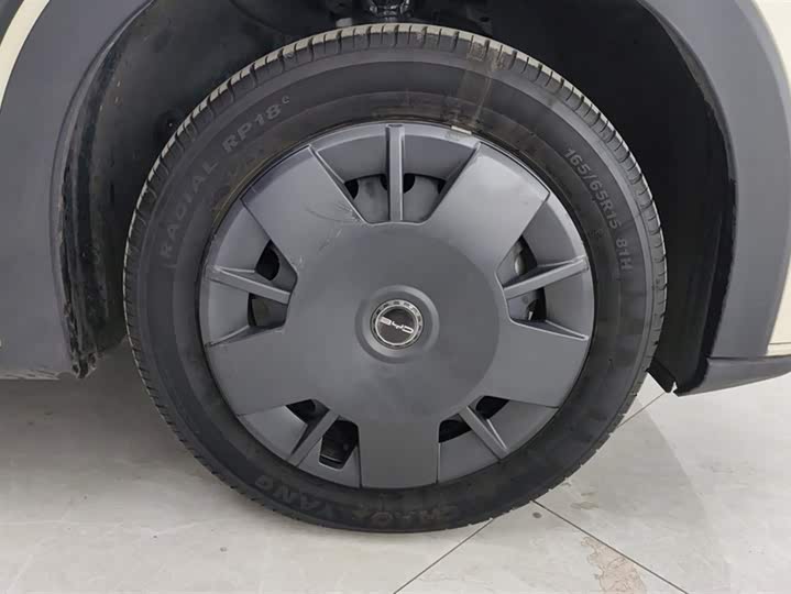 Фото 6 - BYD Seagull