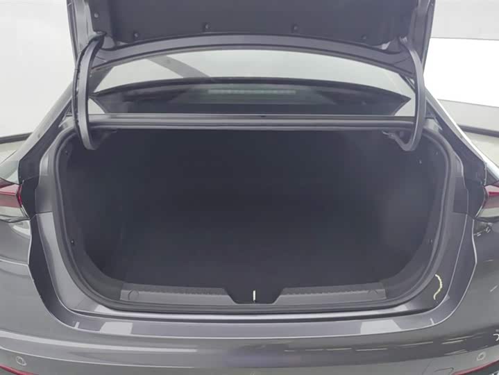 Фото 4 - GAC Trumpchi Empow R