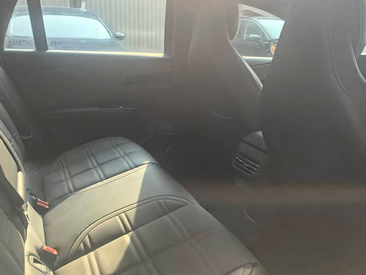 Фото 6 - Hongqi EH7