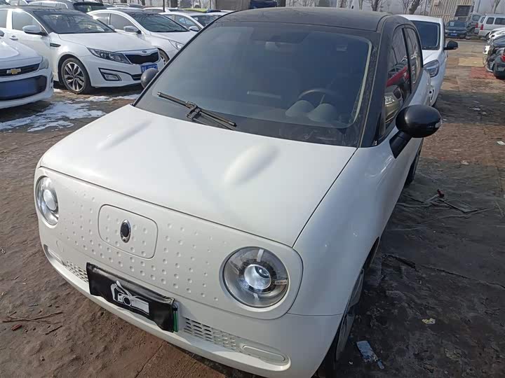 Фото 2 - Ora Black Cat