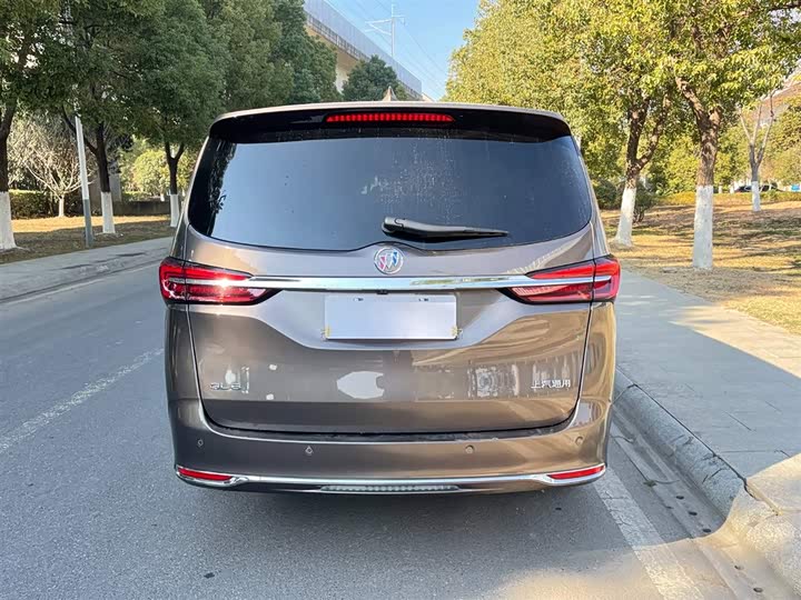 Фото 6 - Buick GL8 ES