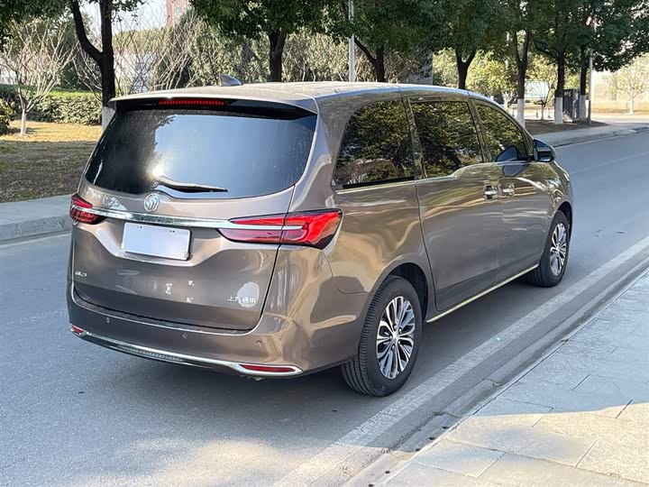 Фото 7 - Buick GL8 ES