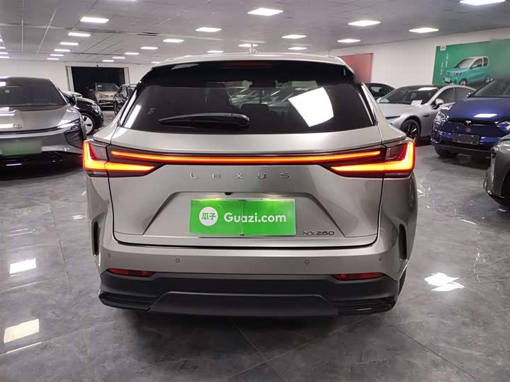 Фото 6 - Lexus NX