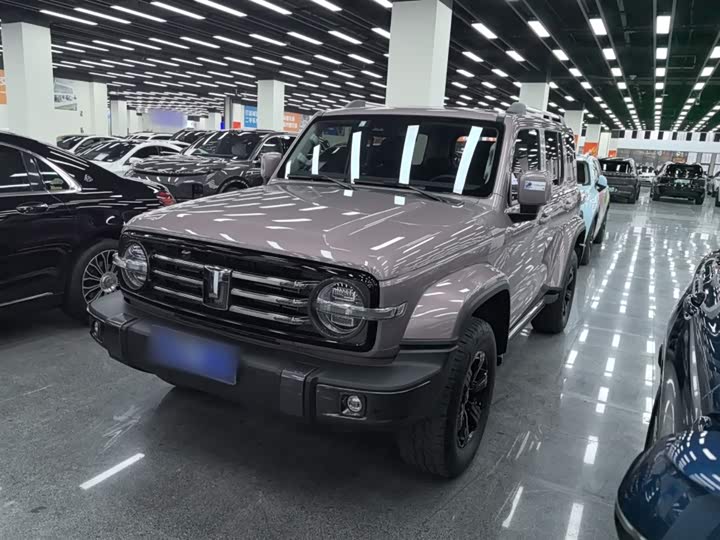 Фото 2 - Tank 300