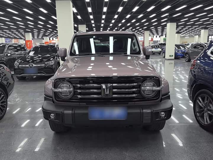 Фото 3 - Tank 300