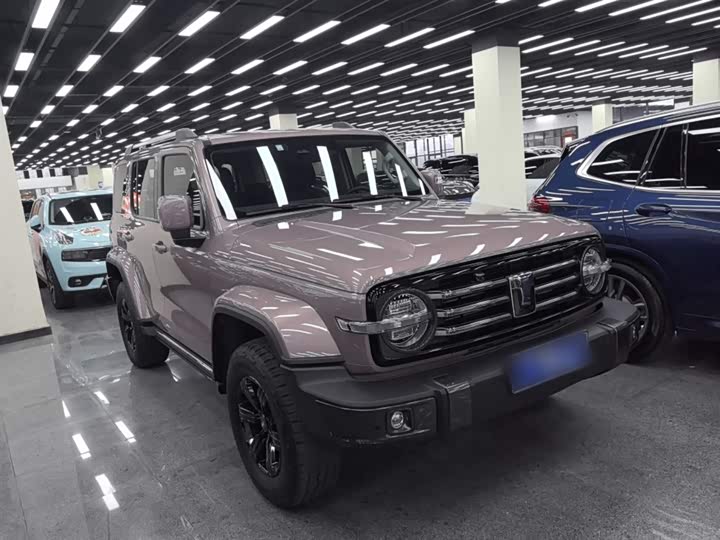 Фото 4 - Tank 300