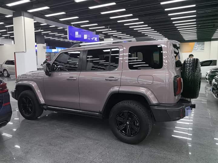 Фото 5 - Tank 300