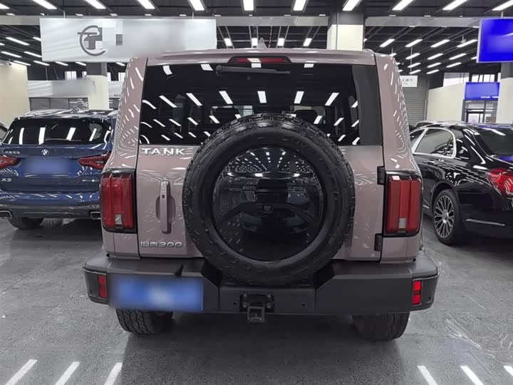 Фото 6 - Tank 300