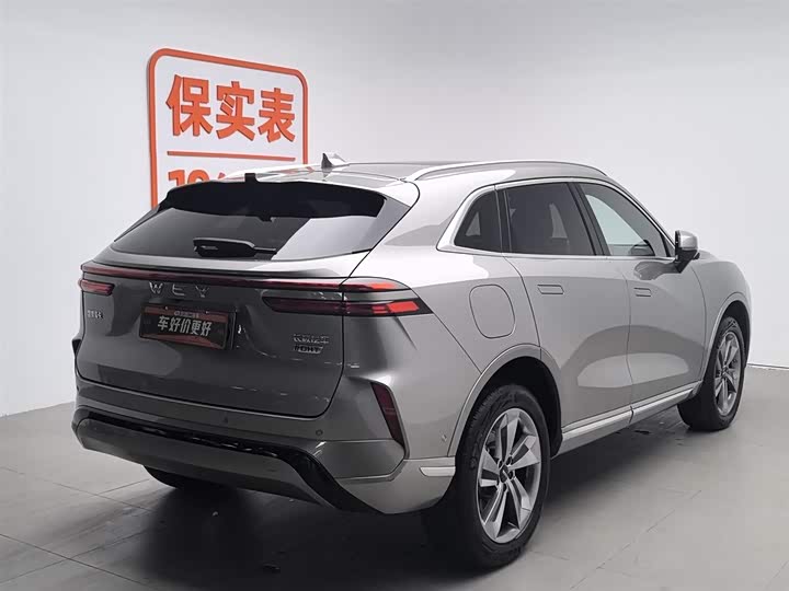 Фото 2 - Wey Mocca Hybrid