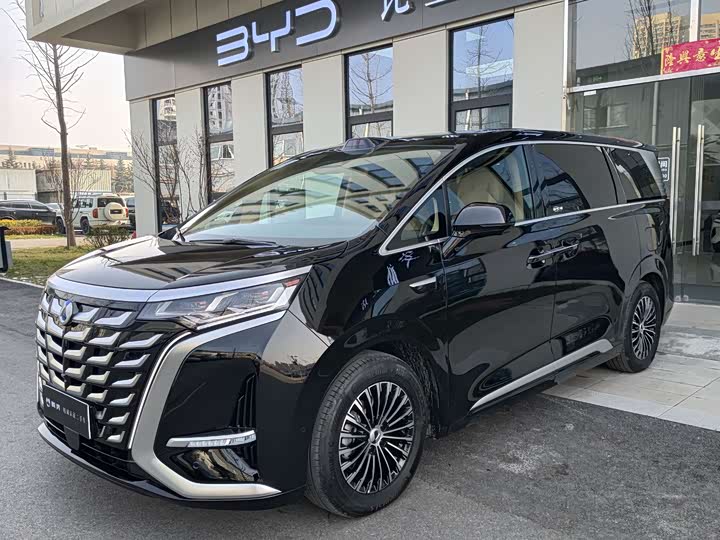 Фото 1 - Denza D9