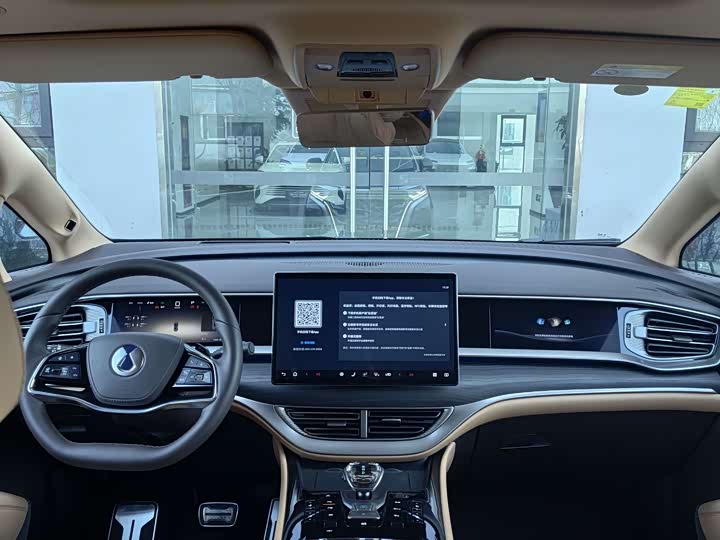 Фото 8 - Denza D9