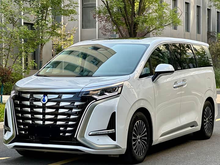 Фото 1 - Denza D9