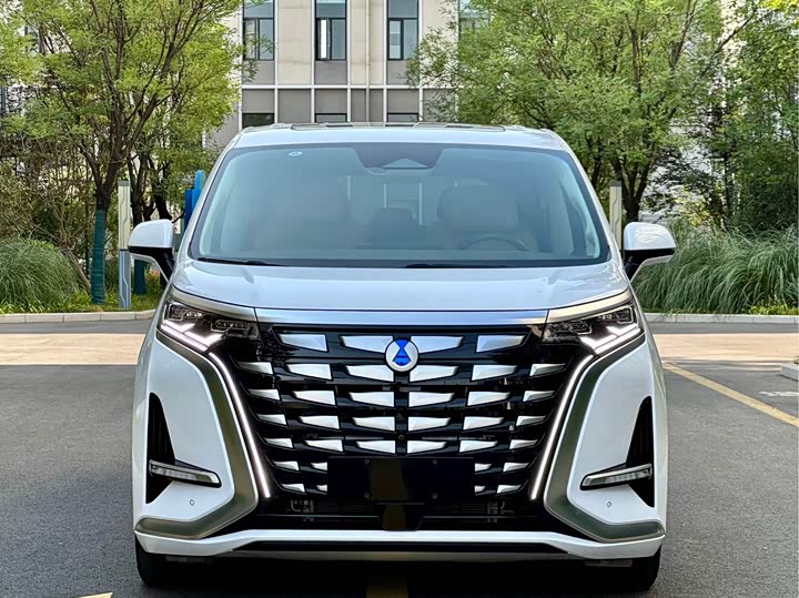 Фото 2 - Denza D9