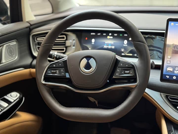 Фото 8 - Denza D9