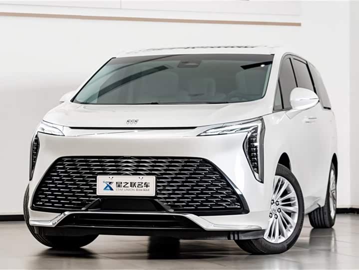 Фото 3 - Buick GL8 Century