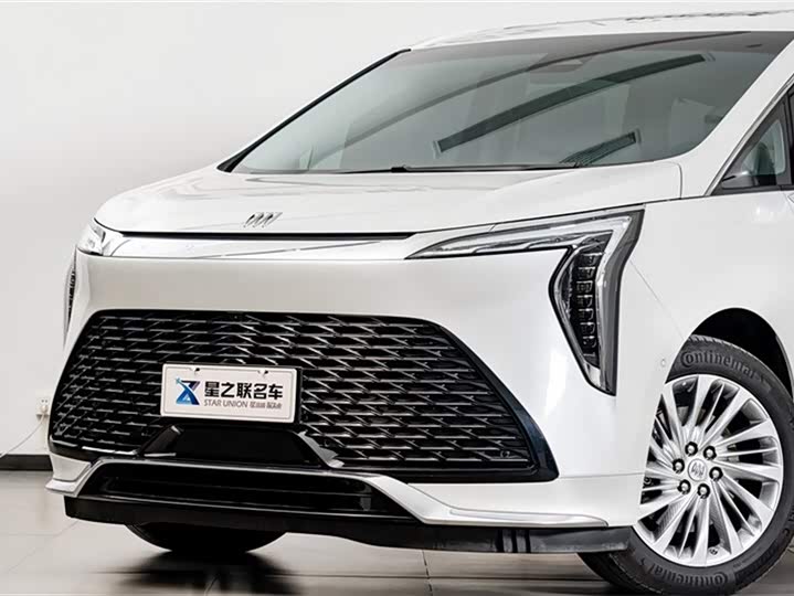 Фото 4 - Buick GL8 Century