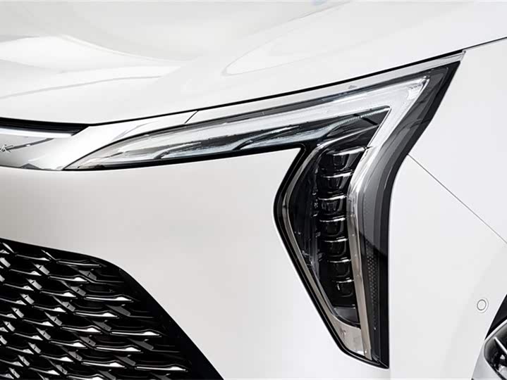 Фото 5 - Buick GL8 Century