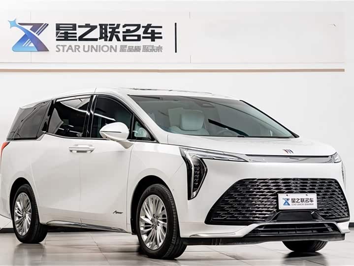 Фото 6 - Buick GL8 Century