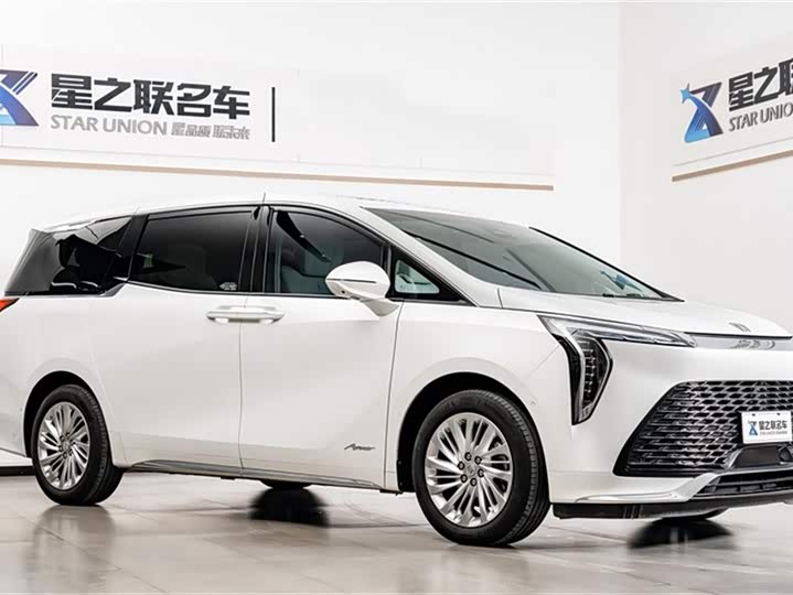 Фото 7 - Buick GL8 Century