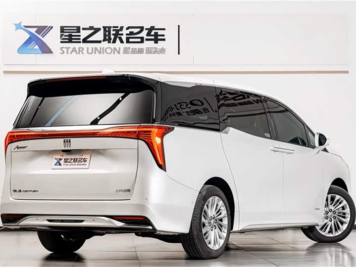 Фото 8 - Buick GL8 Century