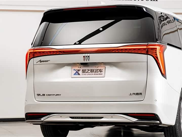 Фото 9 - Buick GL8 Century