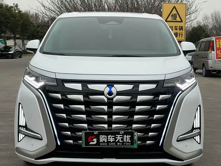 Фото 2 - Denza D9