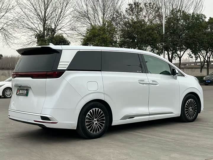 Фото 7 - Denza D9