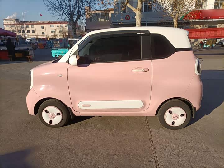 Фото 5 - Bestune Pony