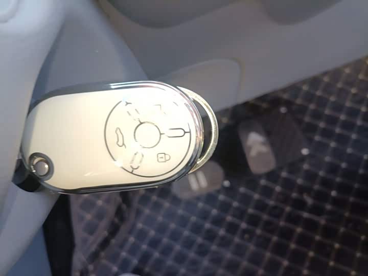 Фото 9 - Bestune Pony