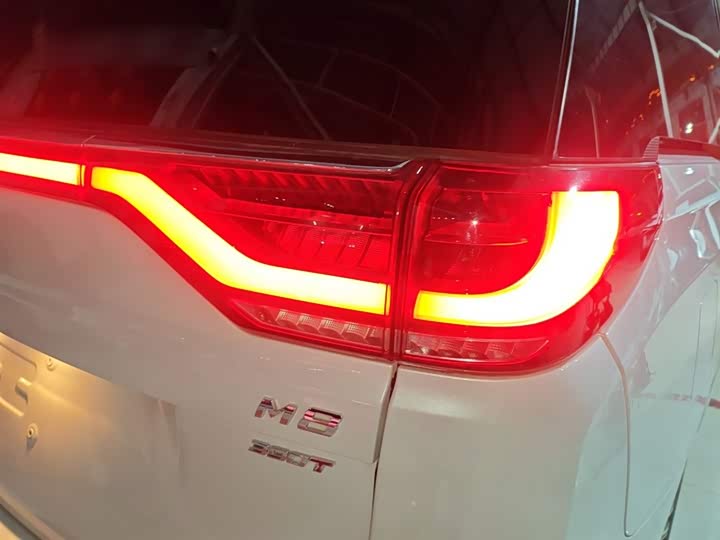 Фото 8 - GAC Trumpchi M8