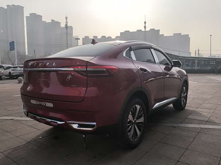 Фото 9 - Haval F7x