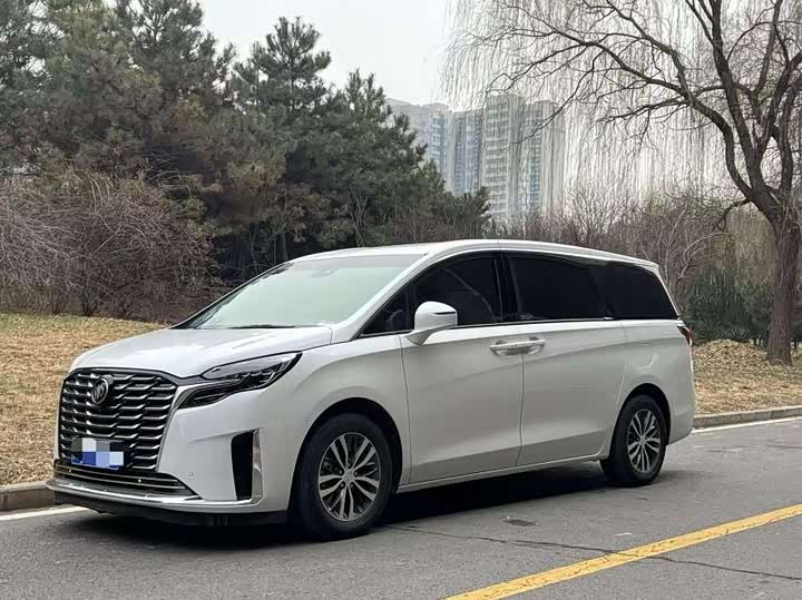 Фото 1 - Buick GL8 ES