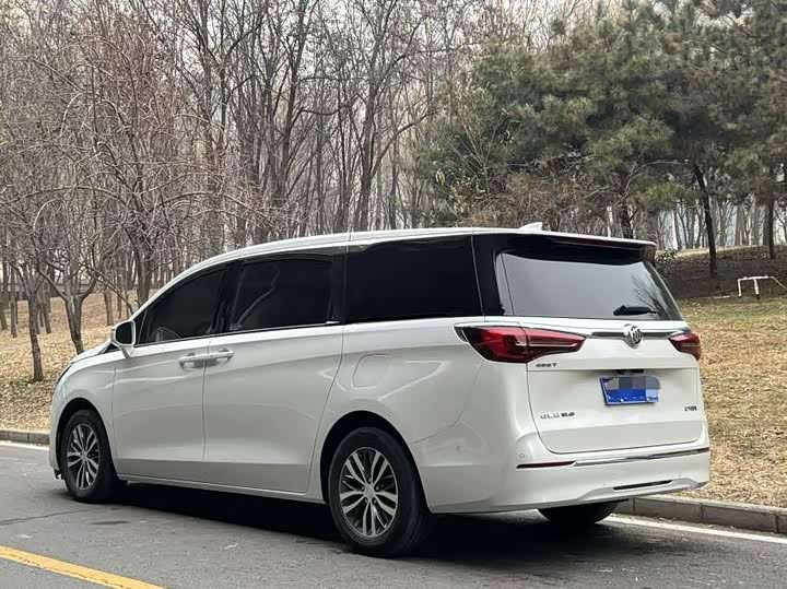 Фото 5 - Buick GL8 ES