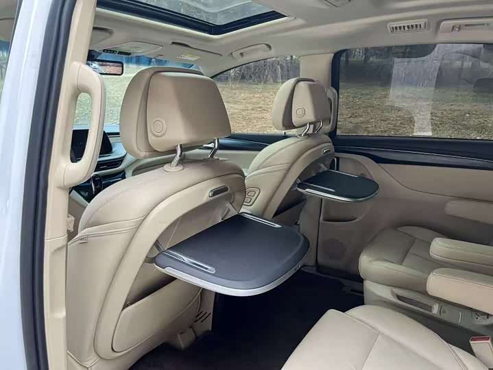 Фото 7 - Buick GL8 ES