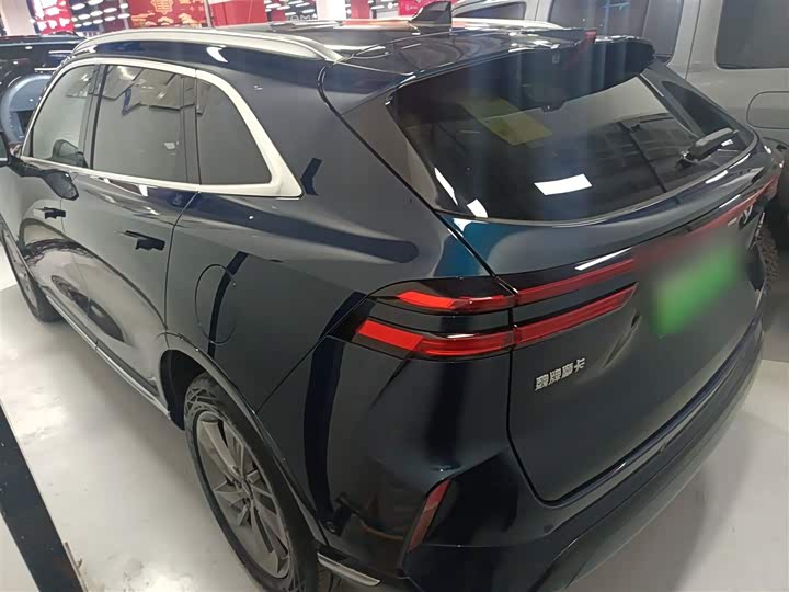 Фото 5 - Wey Mocca Hybrid