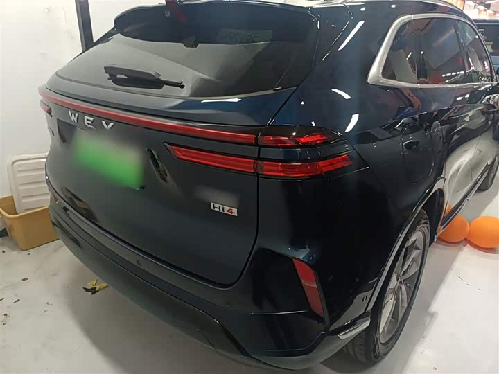 Фото 6 - Wey Mocca Hybrid