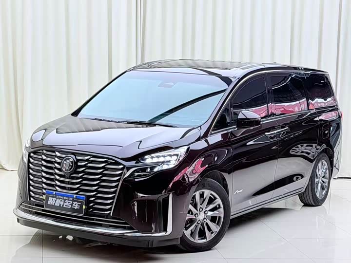 Фото 1 - Buick GL8 ES