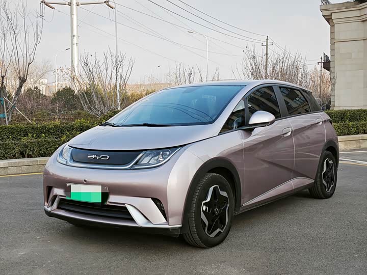 Фото 1 - BYD Dolphin