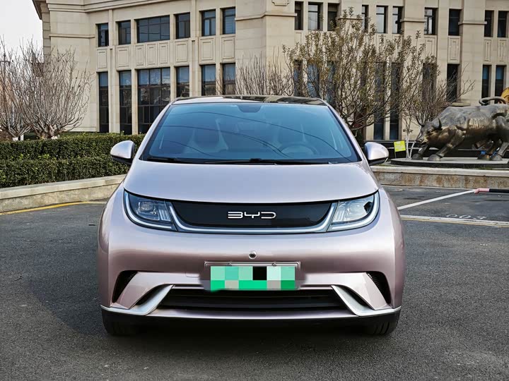 Фото 2 - BYD Dolphin