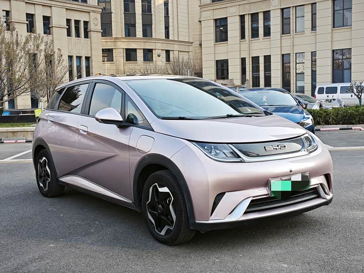 Фото 3 - BYD Dolphin